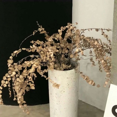 Furry插画手绘教程兽圈社群